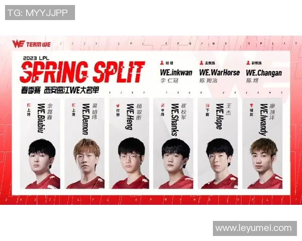 WE战队灵活性引发热议分析与争议背后的深层原因探讨