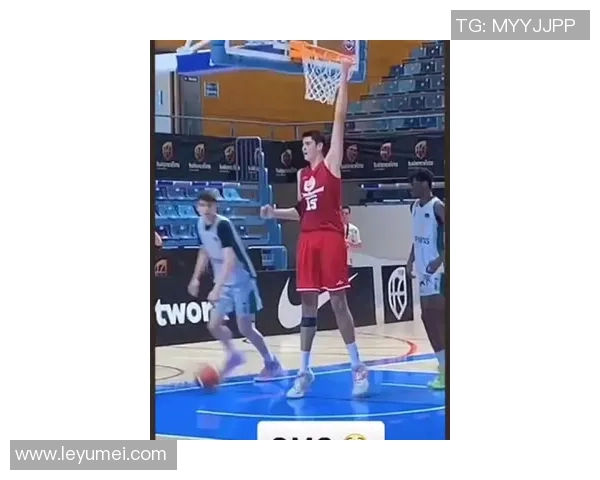 杭州篮球队的奋斗历程与荣耀时刻全景回顾